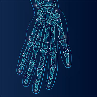 stylized geometric illustration of the bones of the hand 
