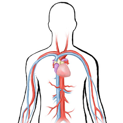 diabetes animation