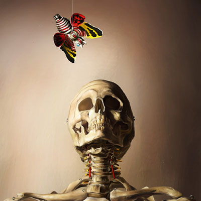 model skeleton still life